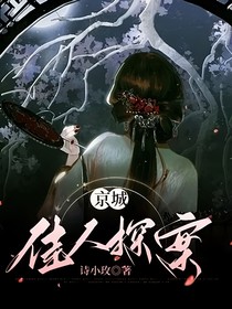 京城佳人探案