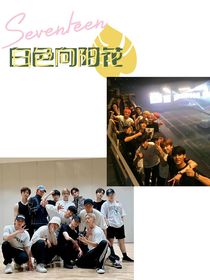 SEVENTEEN：白色向阳花