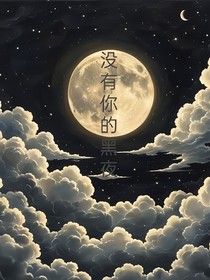 没有你的黑夜