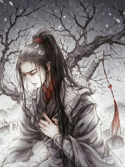 魔道祖师之随便