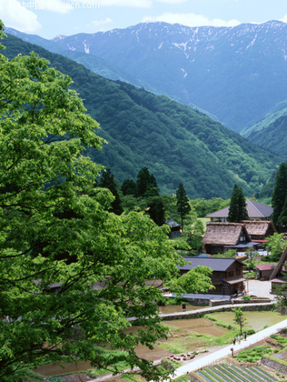 风花雪月五里山（连载小说）