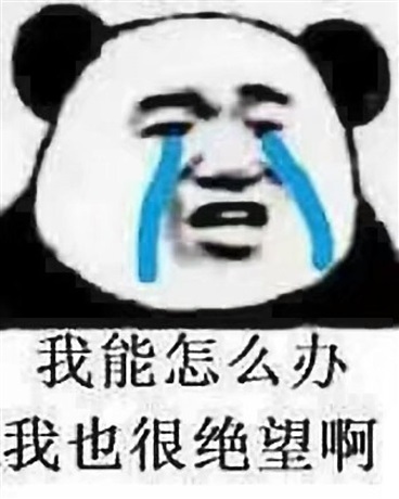 冒险者同伴都是些笨蛋怎么办