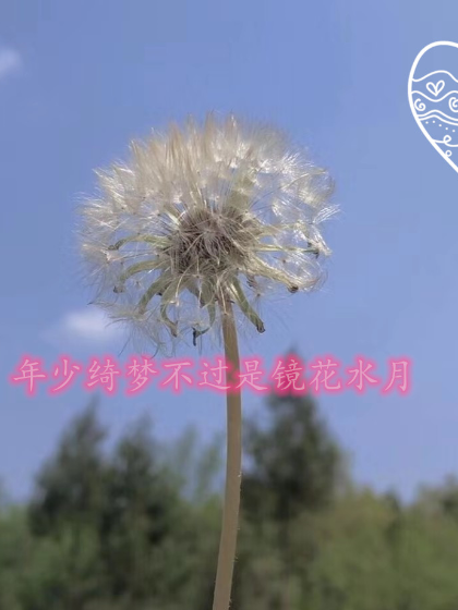 年少绮梦不过是镜花水月