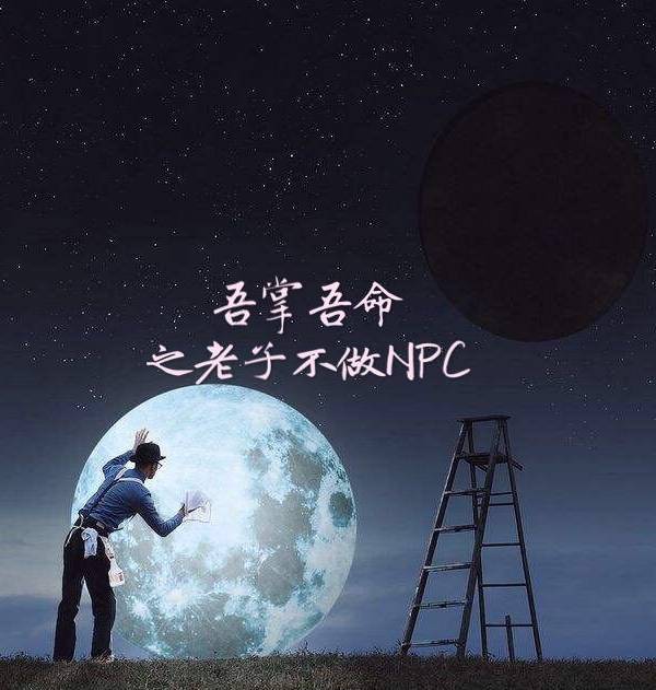 吾掌吾命之老子不做NPC