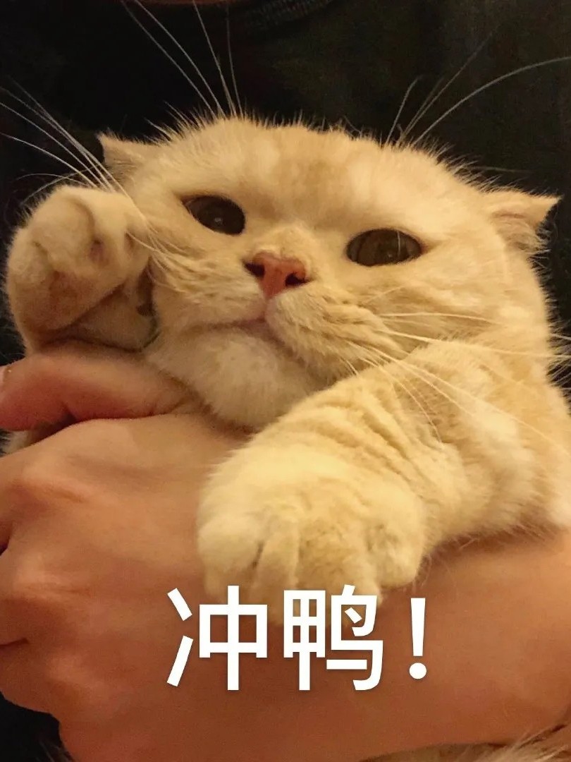 猎人同人推荐（完结和连载中都有）